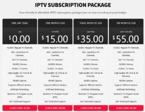 Bunny-Streams-IPTV-Pricing
