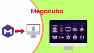 13. MegaCubo