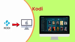 3. Kodi