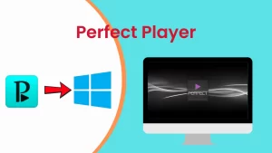3. Perfect Player