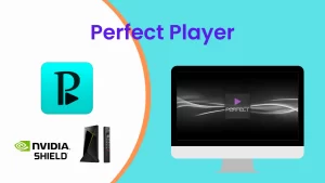 3. Perfect Player IPTV