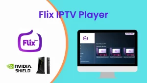 4. Flix IPTV