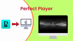 5. Perfect Player