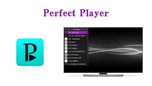 Perfect Player